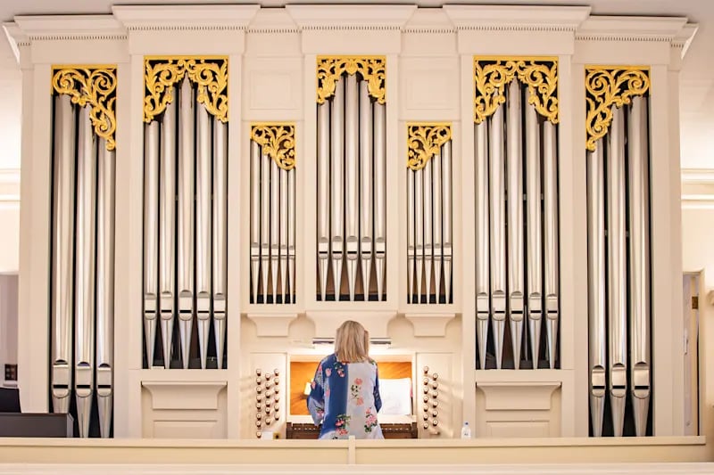 Martin Ott Organ image