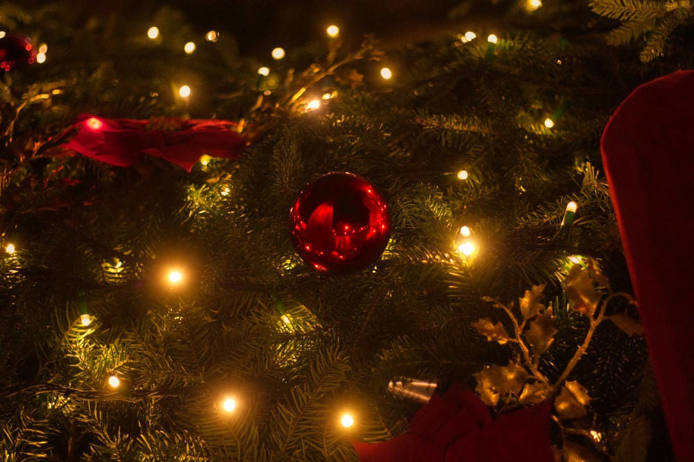 Christmas Tree Lighting