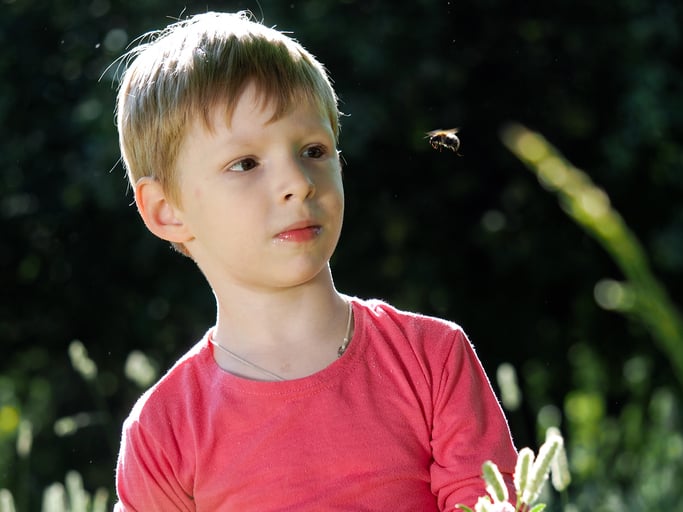 [ASK DOC] - Helping Children with Phobias: Fear of Bees