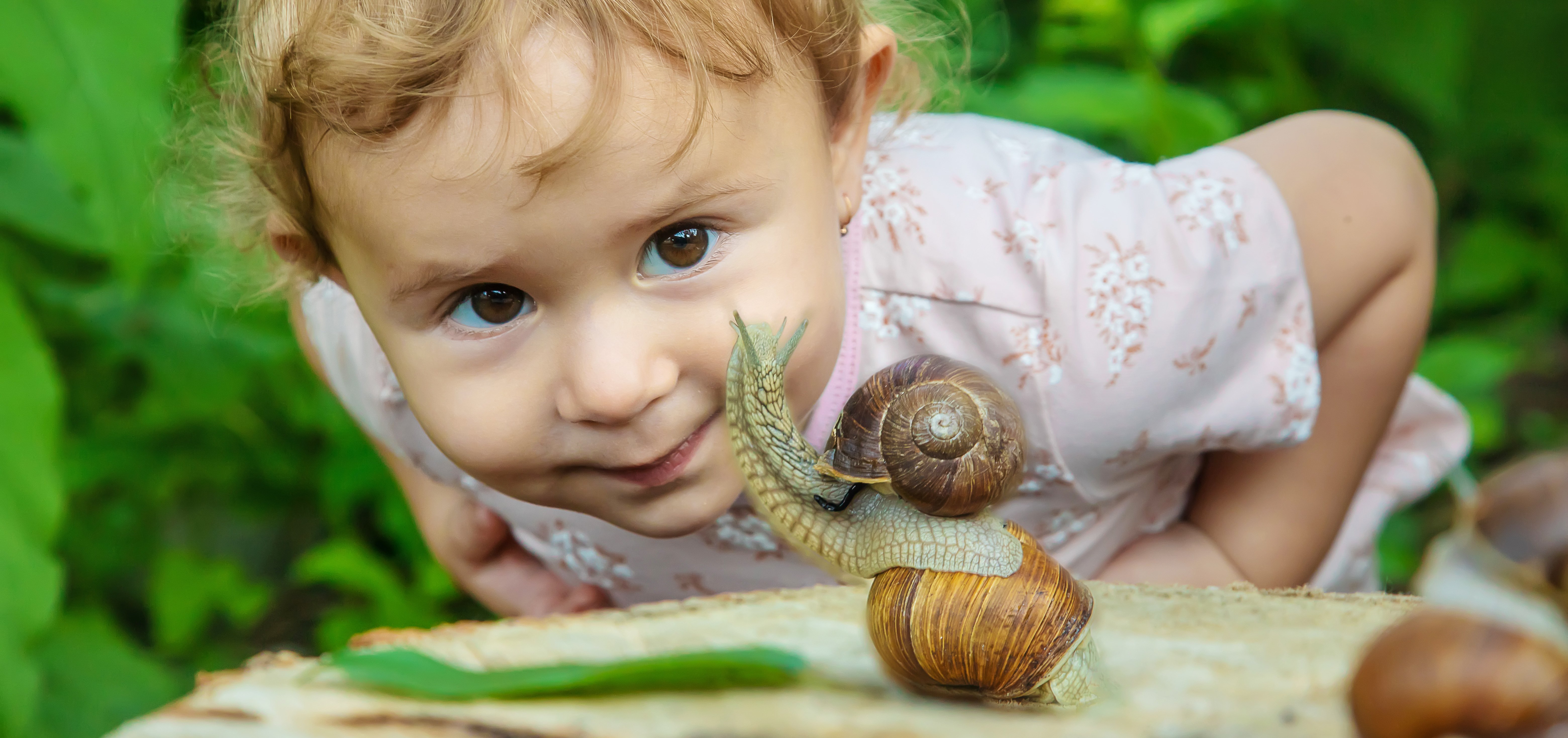 [ASK DOC] - Toddler Scared of Bugs