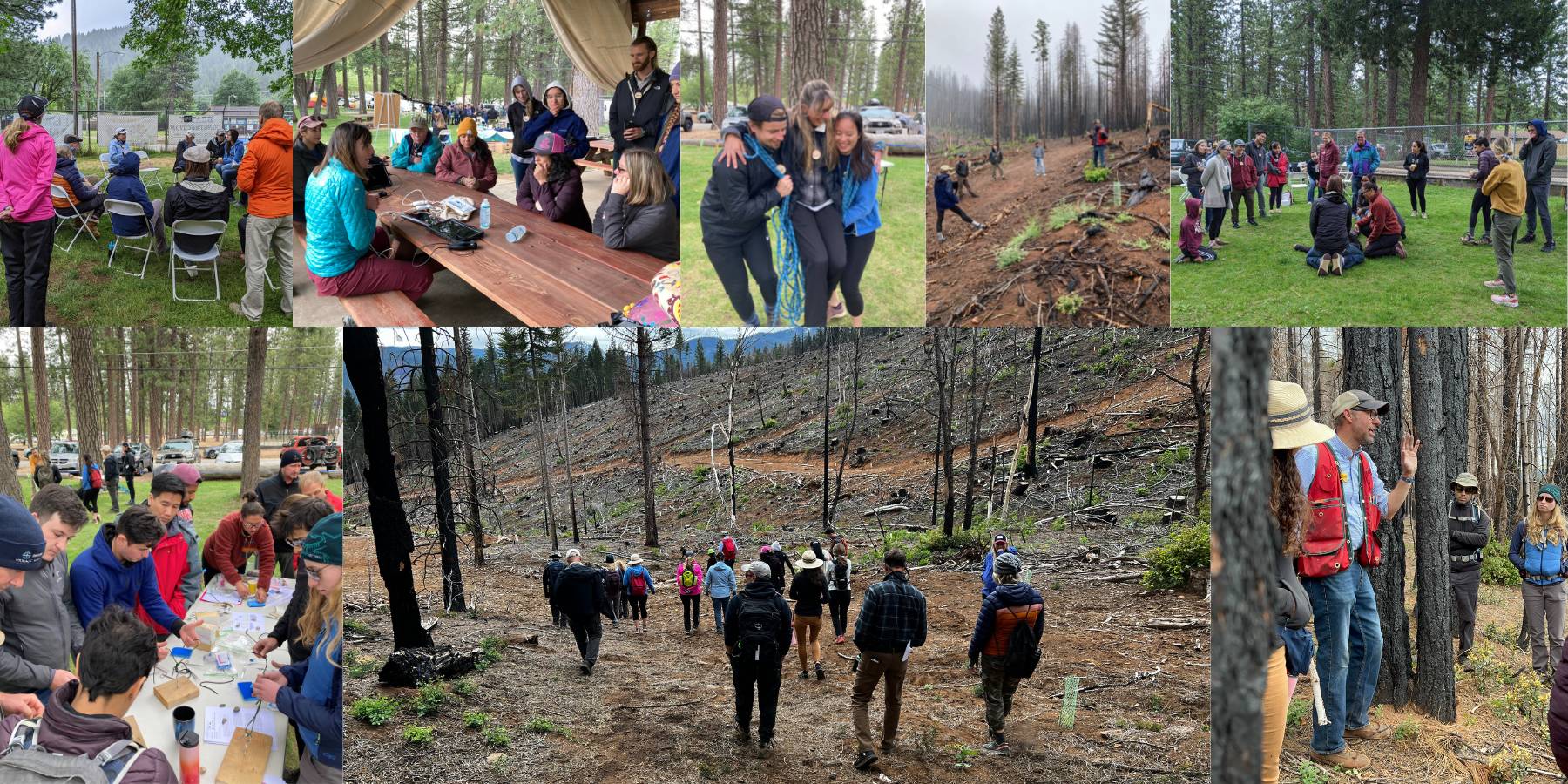 Collage Photo from Event