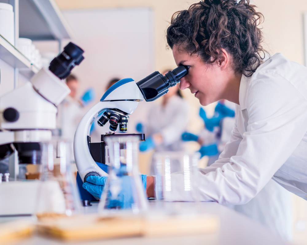 Photo of Laboratory