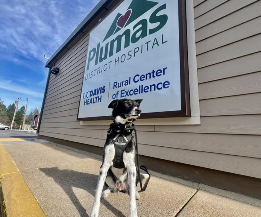 From Web App Alt Field