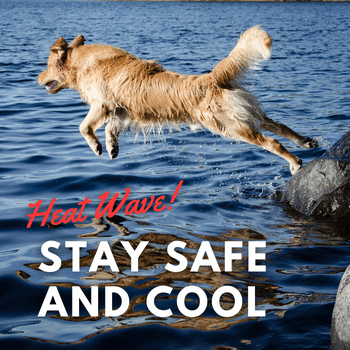 Stay safe and cool this weekend!