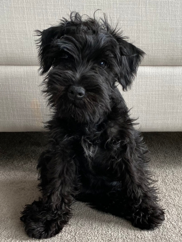Dottie Avatar